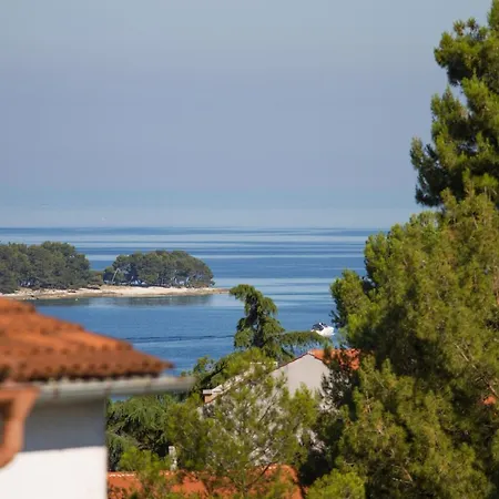 公寓 Nega 2 罗维尼