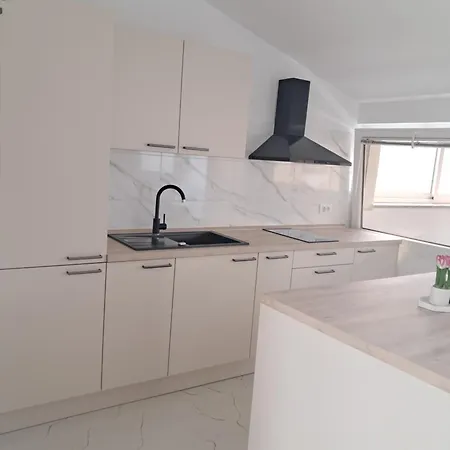 公寓 Nega 2 罗维尼