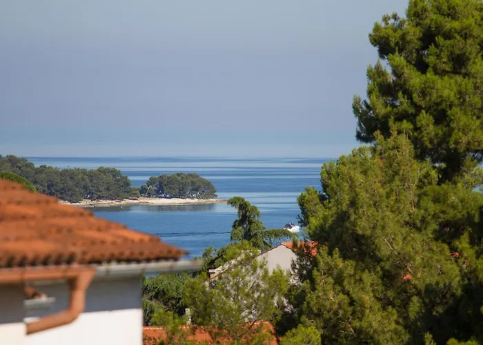 דירה Nega 2 רוביני